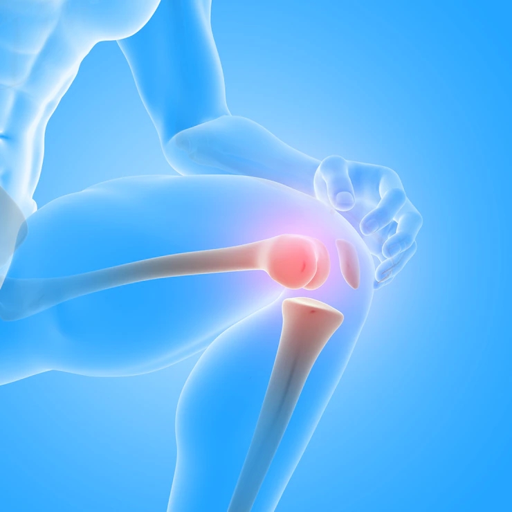 3d-render-male-medical-figure-with-close-up-knee-bones_1048-13723.webp.jpg